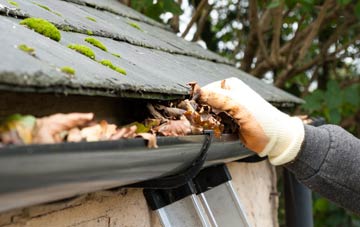 gutter cleaning The Lake, Dumfries And Galloway